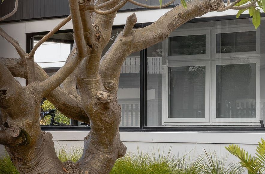 Coast  House