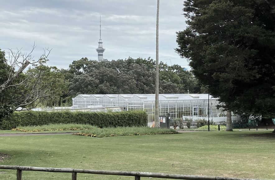 Domain Glasshouses