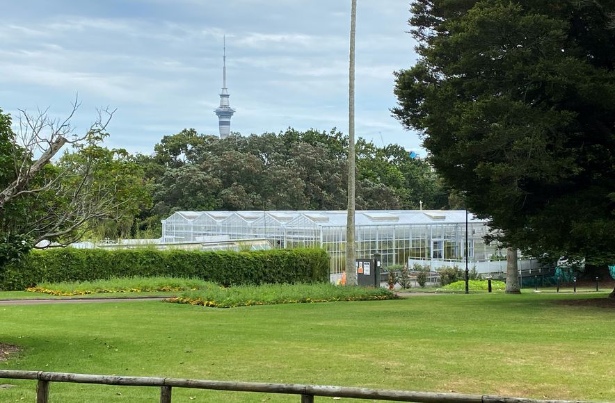 Domain Glasshouses