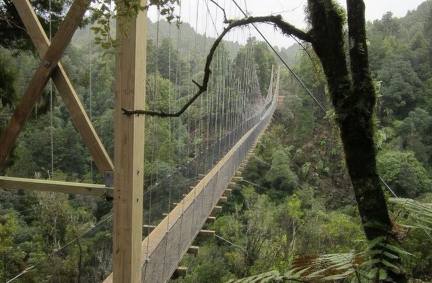 The Timber Trail