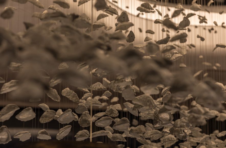 Corrs Chambers Westgarth, for Electrolight, Sydney.