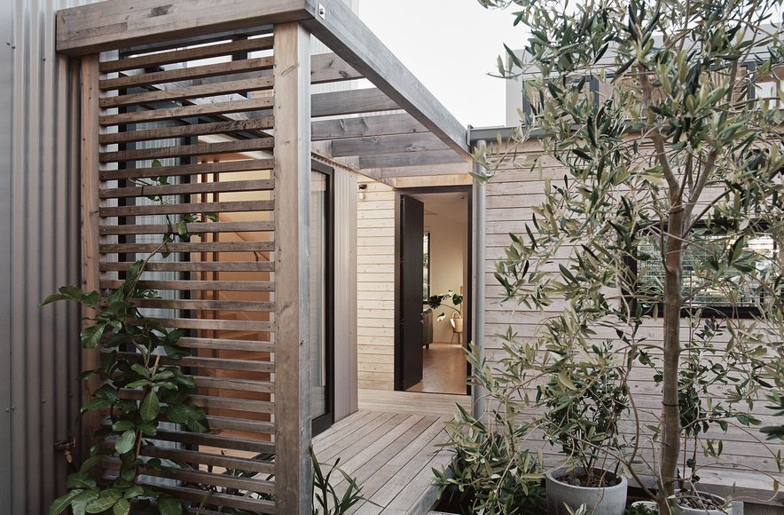 Beach Forest House