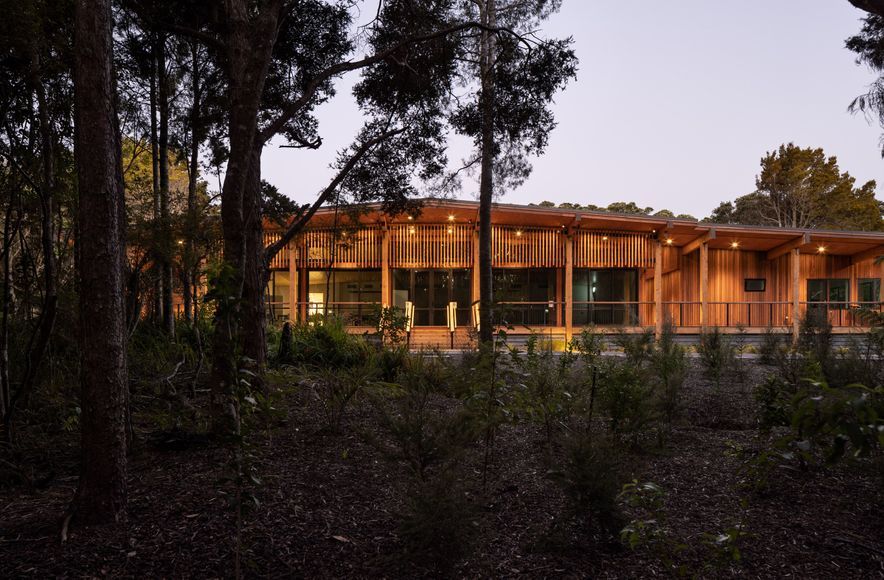 Tahuaroa - Waitangi