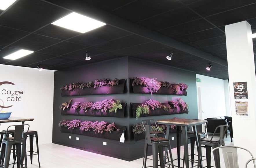 ARANZ Geo offices in Christchurch