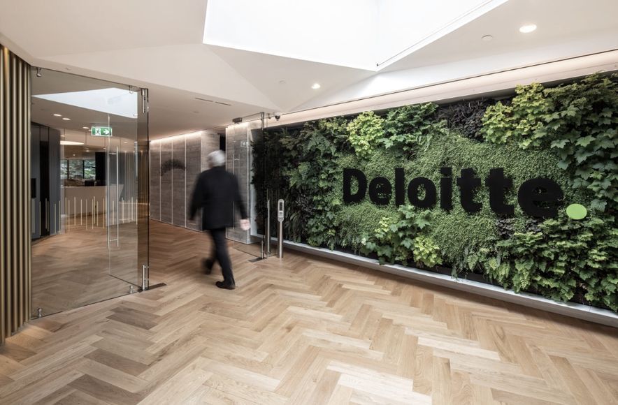 Deloitte Dunedin