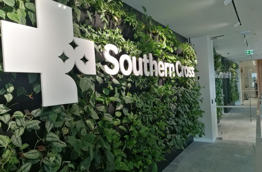 Southern Cross - Long term hire project