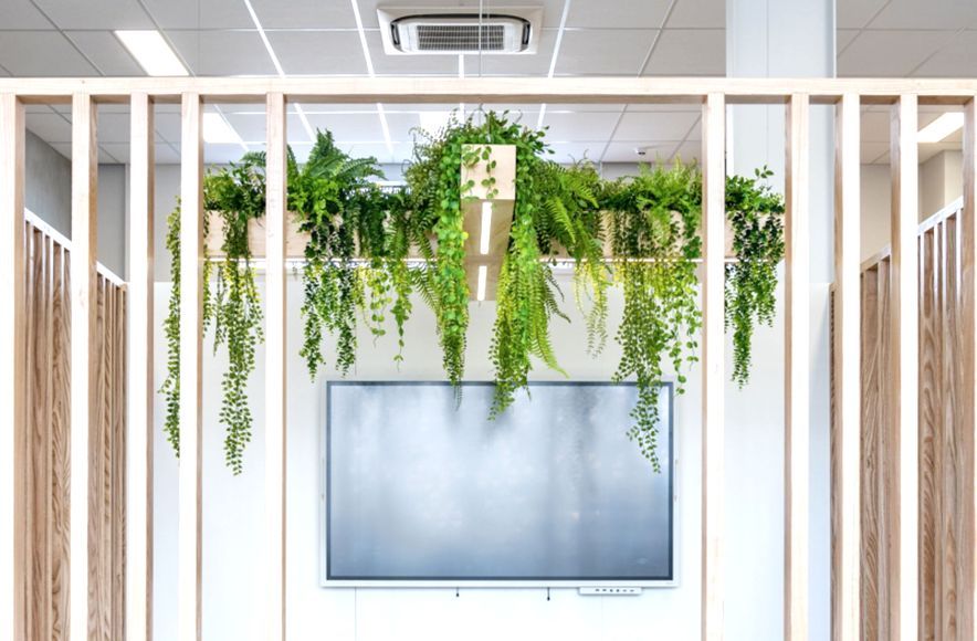 Scipad Tauranga Office Fitout