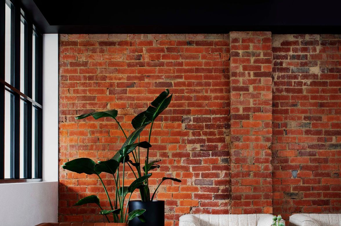 Watson Young HQ