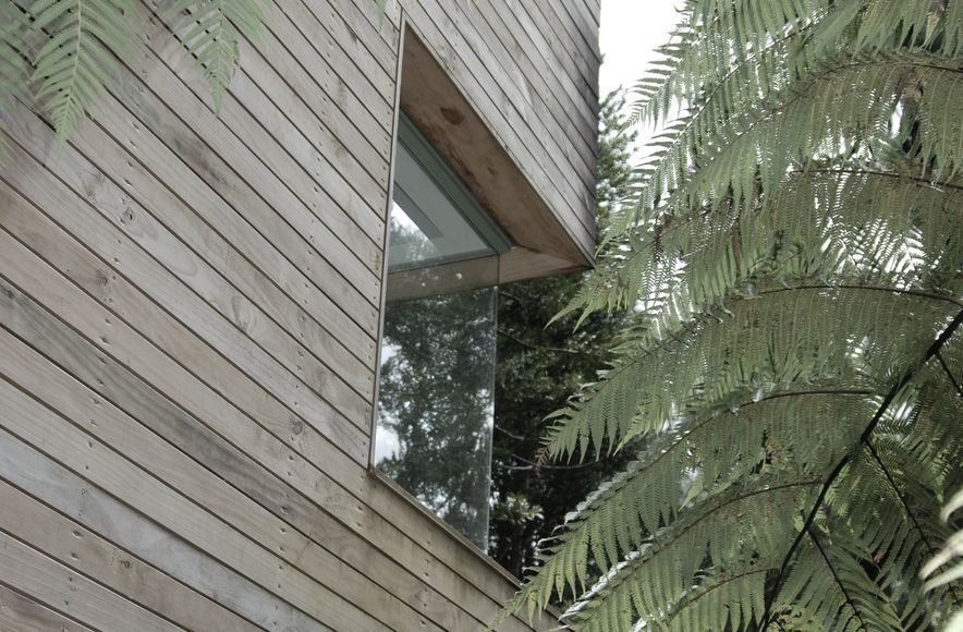 Little Huia House