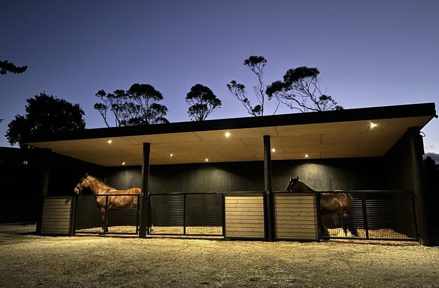 Taupaki Stables