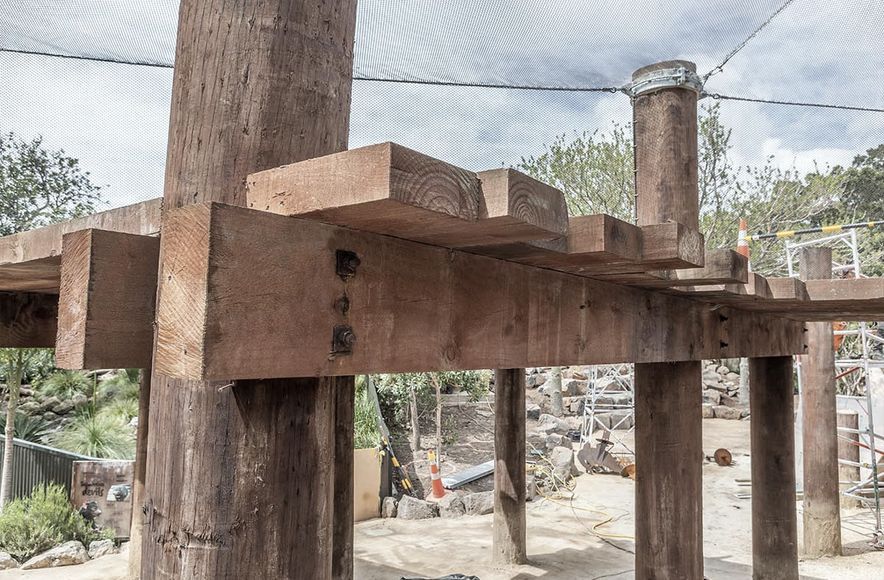 Auckland Zoo Redevelopment
