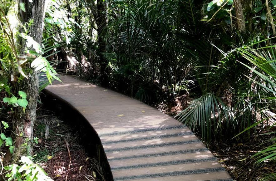Bushwalk Boardwalk