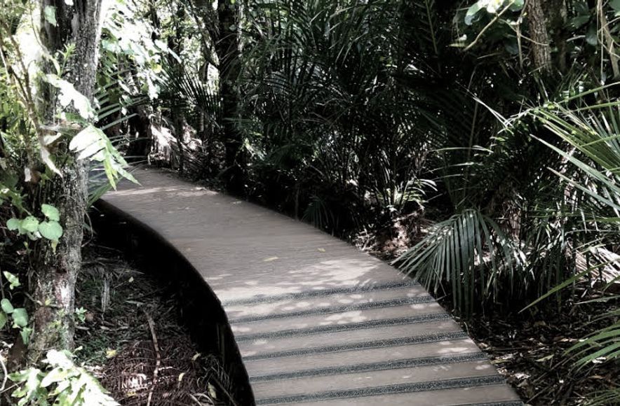 Bushwalk Boardwalk