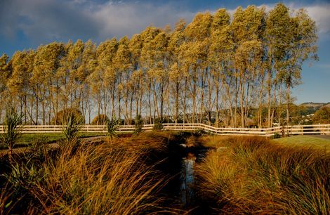 Milns Park Residential Subdivision