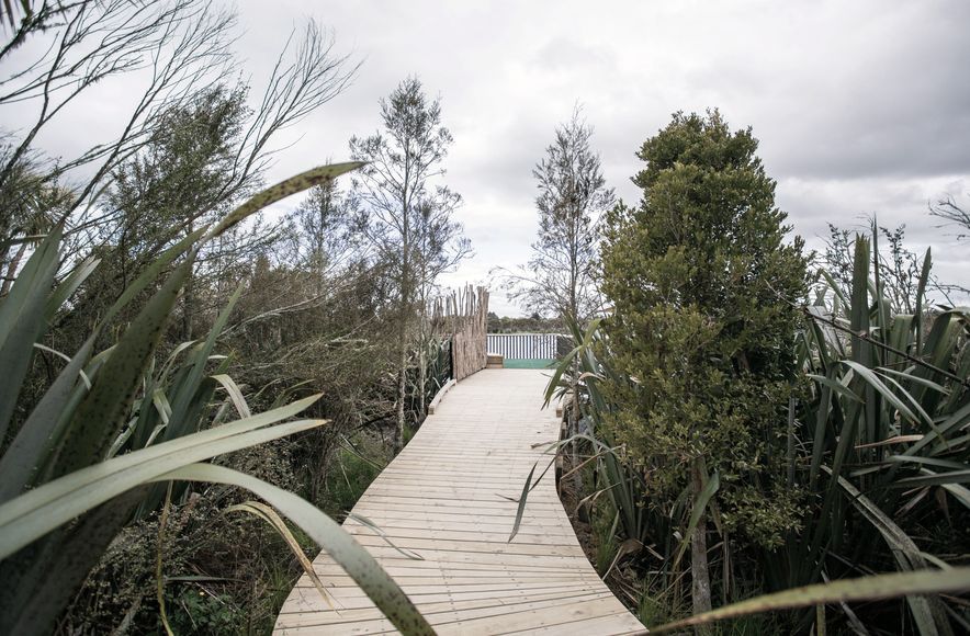 Waiwhakareke Natural Heritage Park