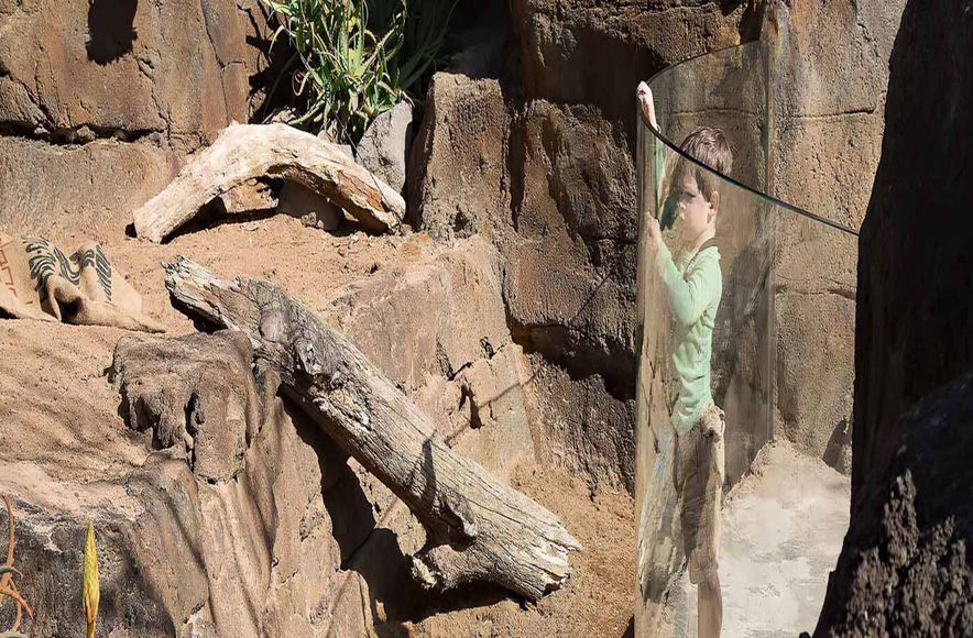 Auckland Zoo – Commercial Bent Glass