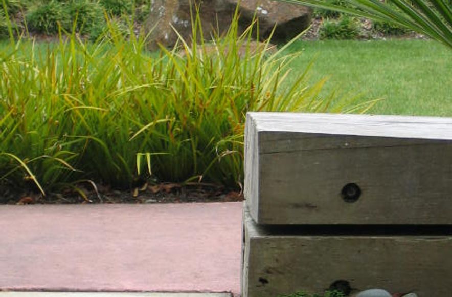 Freemans Bay Garden