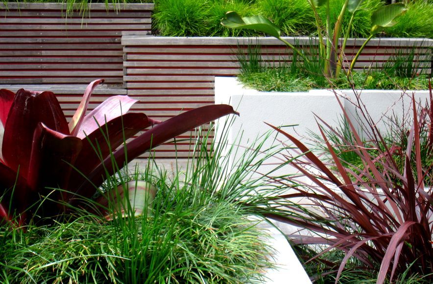 Hillsborough Garden