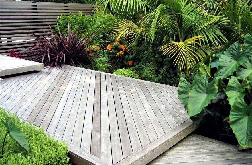 Grey Lynn Garden  