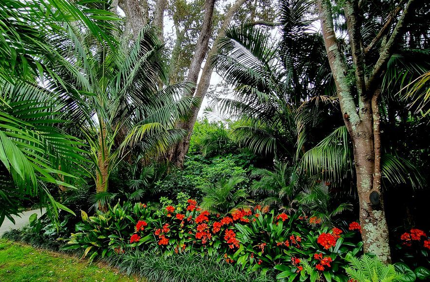 Mt Albert Garden