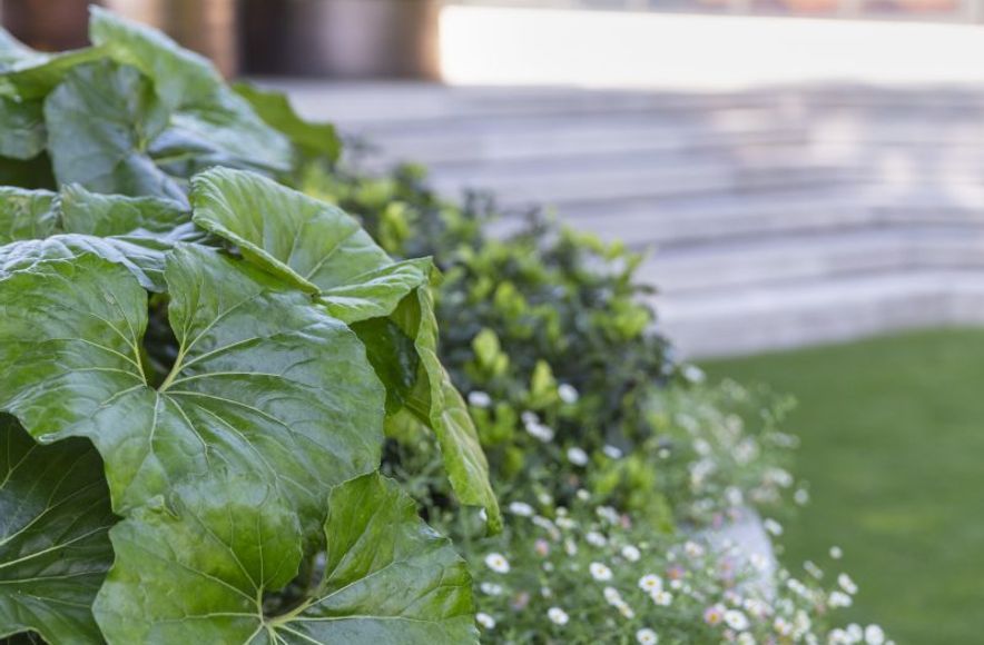 Harbourview Garden