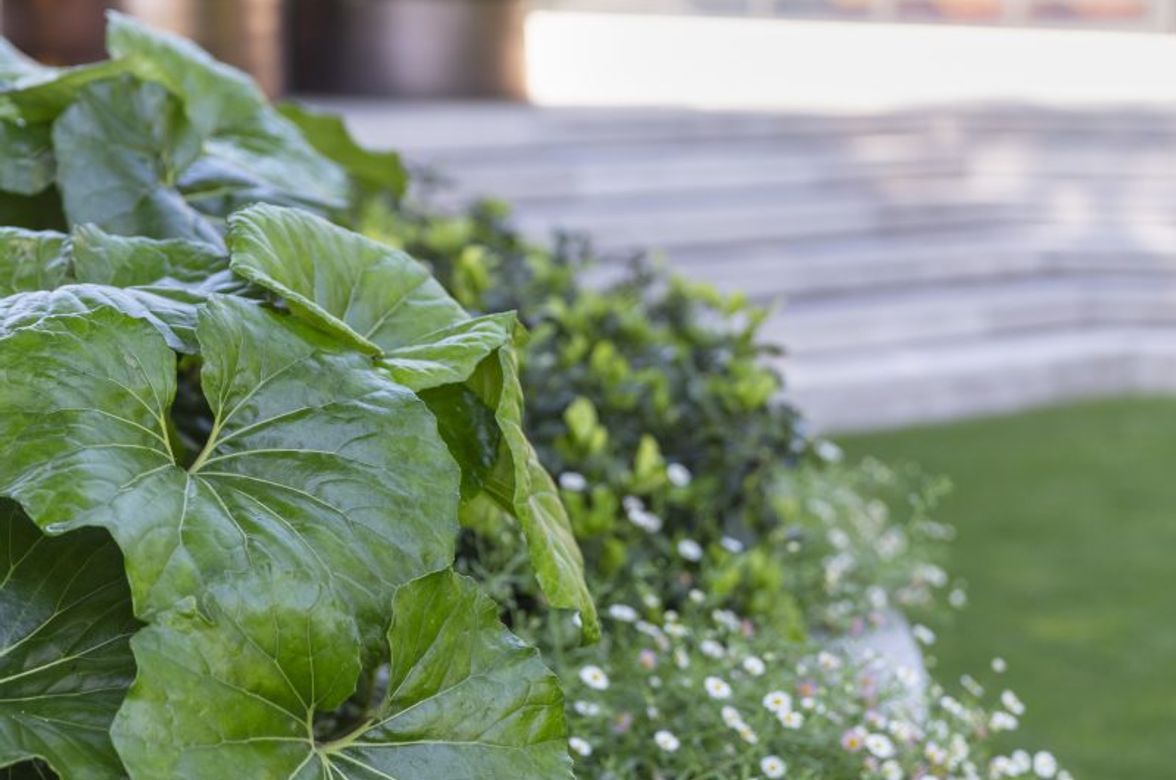 Harbourview Garden