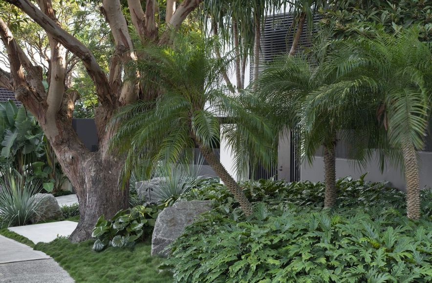 Urban Jungle