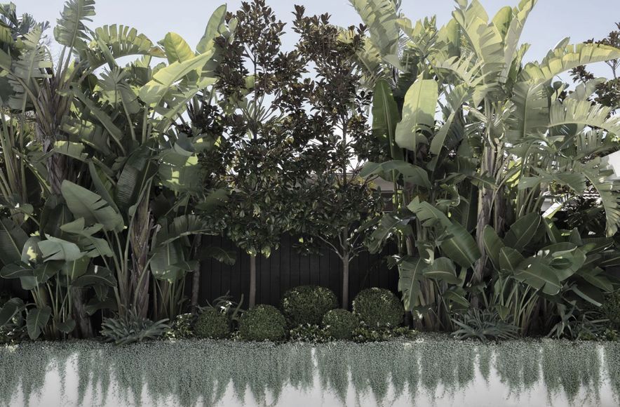 Urban Jungle