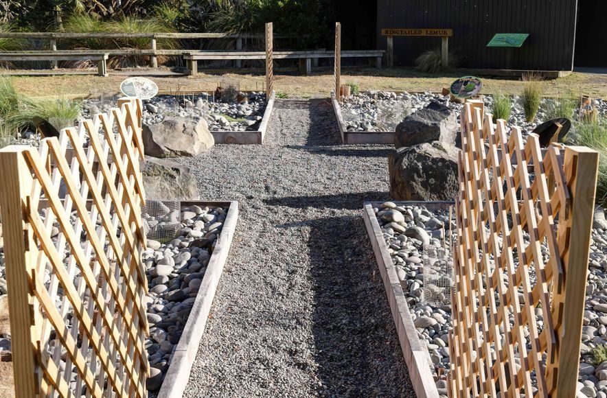 Creating a Permeable Pathway with Strol