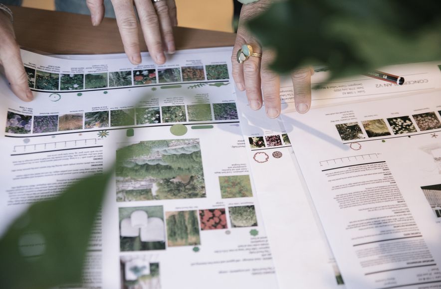 Curated Garden Design