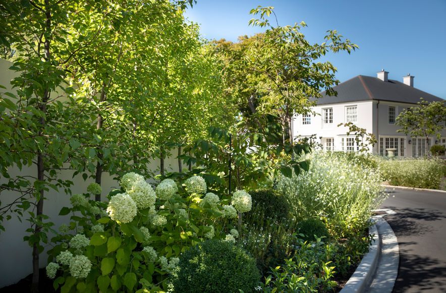 Julia's Garden