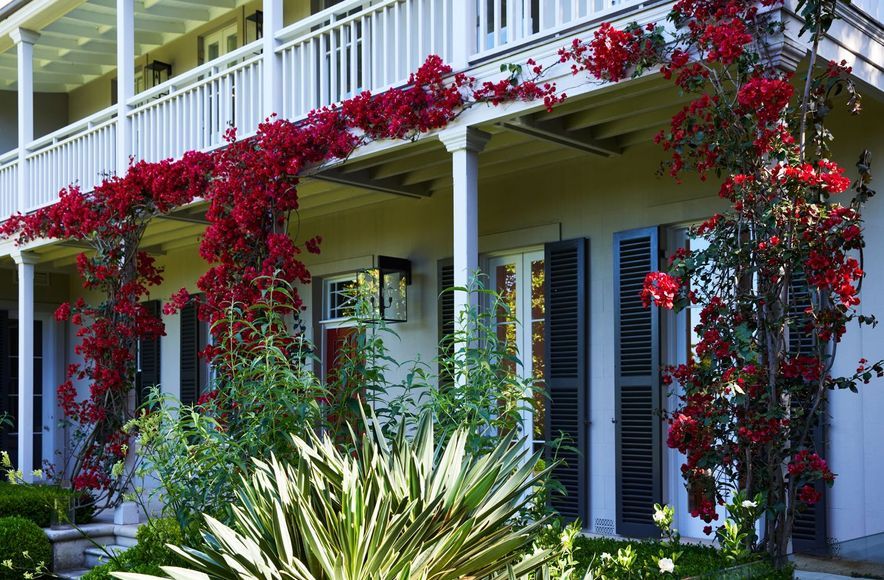 Woodlands, Woollahra