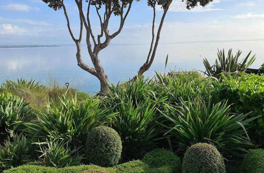 Paradise Landscapes