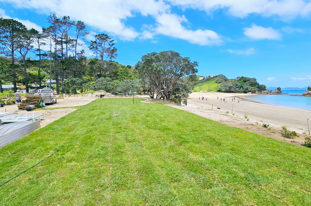 Green Oasis: Transforming Tutukaka's Sand Dunes
