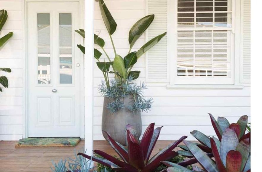 Rozelle - Garden