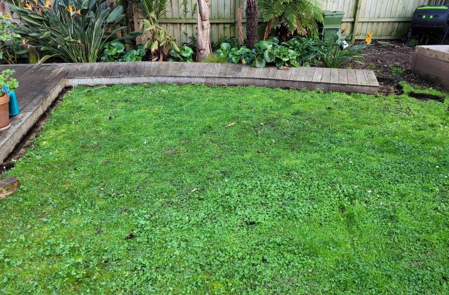 Mt Eden Garden Makeover