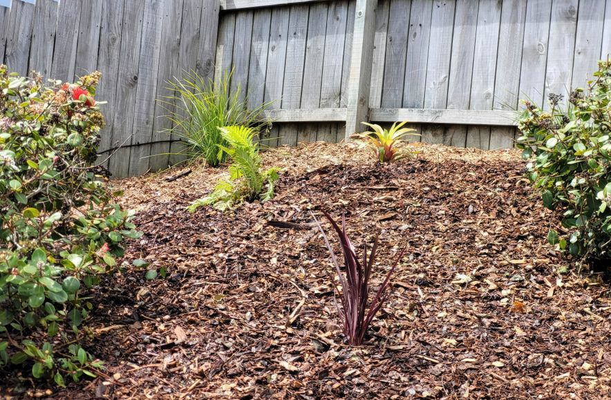 Pine Dale Garden Makeovers