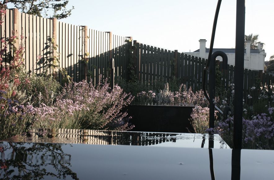 Welkin' Rooftop Terrace & Scarborough In-Ground Garden 'Clifton Hill'