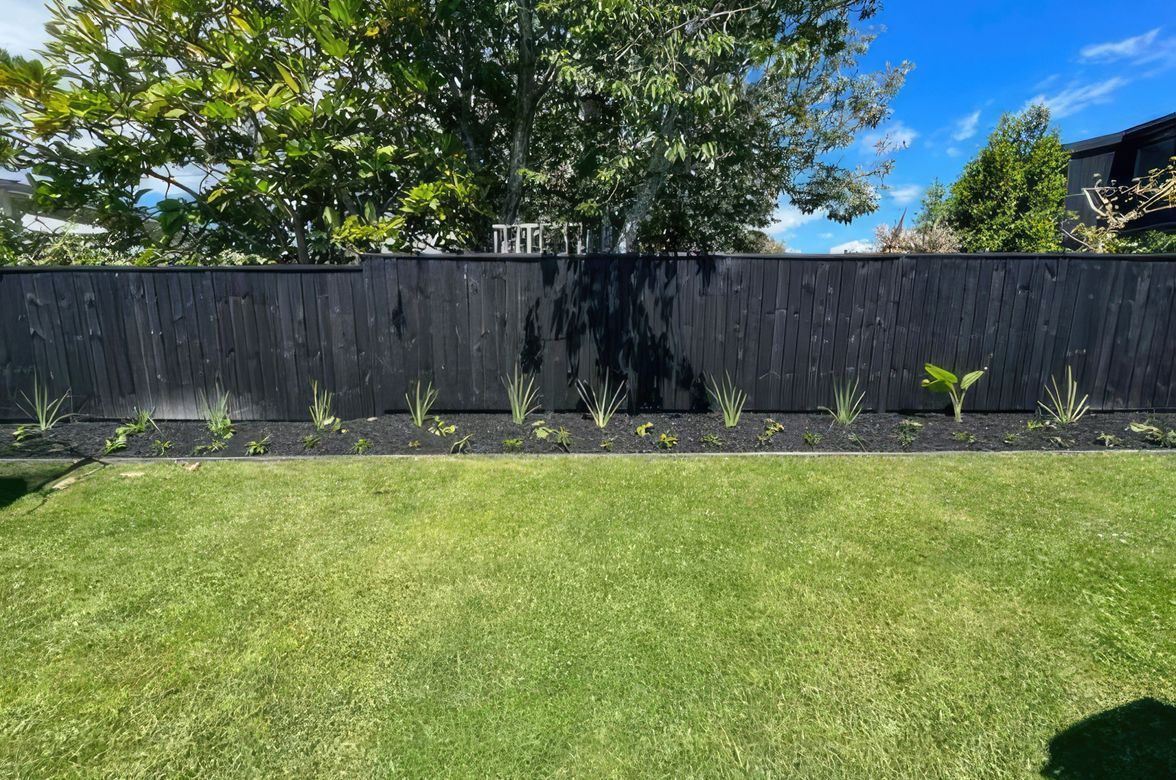 Mt Albert Garden Makeover