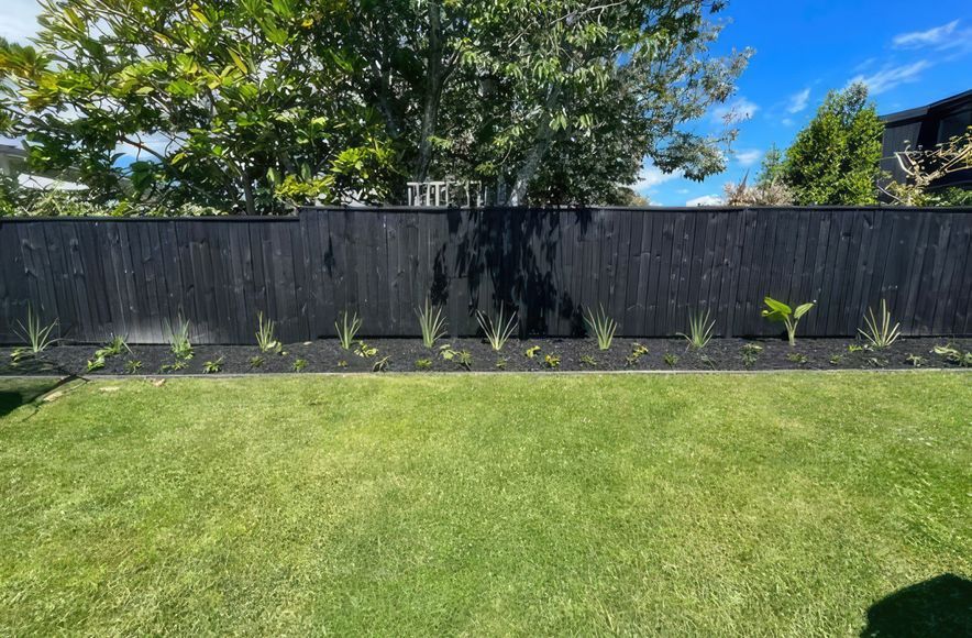 Mt Albert Garden Makeover
