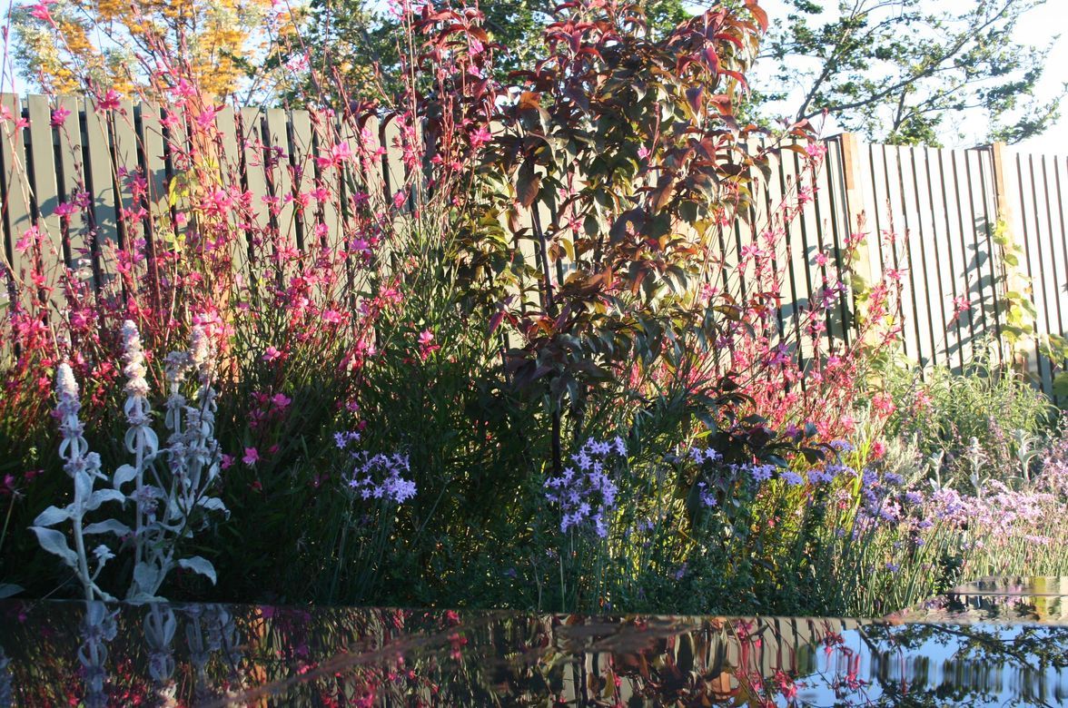 Welkin' Rooftop Terrace & Scarborough In-Ground Garden 'Clifton Hill'