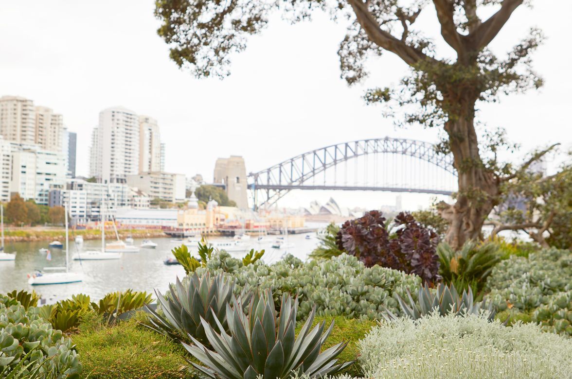 Lavender Bay