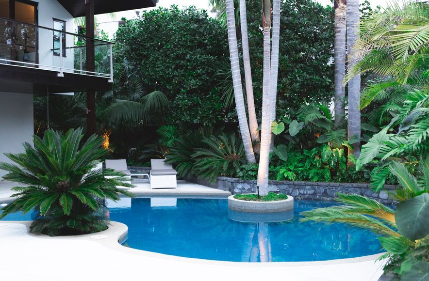 Modern Poolscape Takapuna