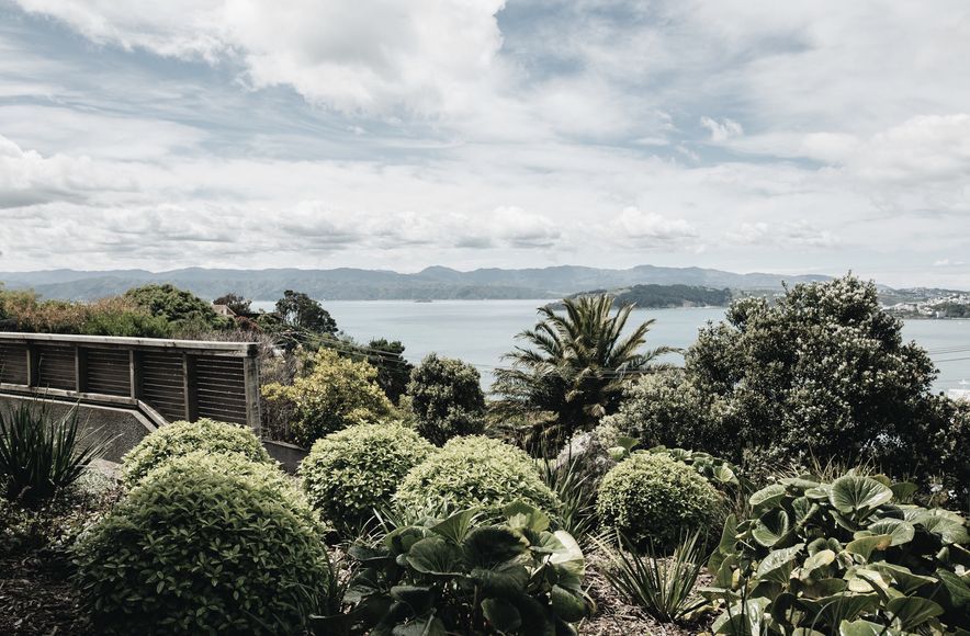 Wellington Hillside Garden