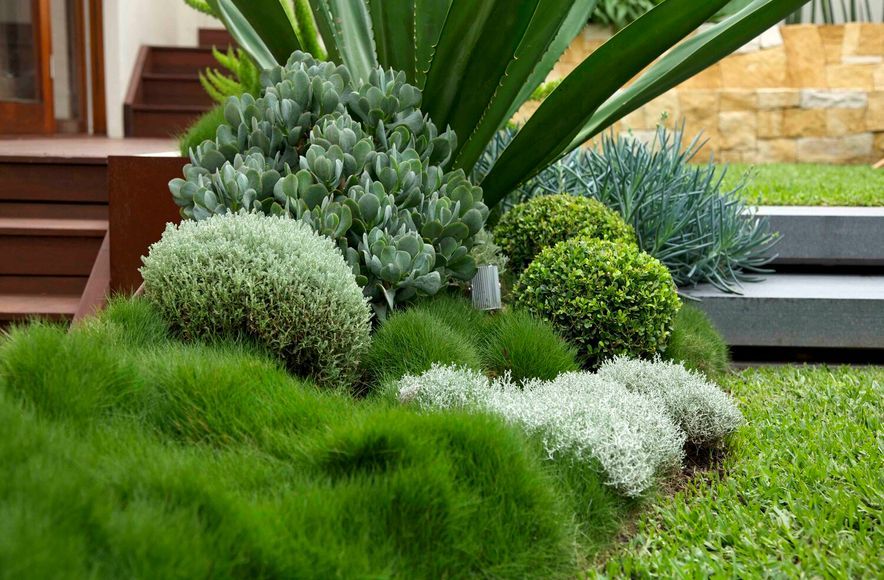 Family Garden