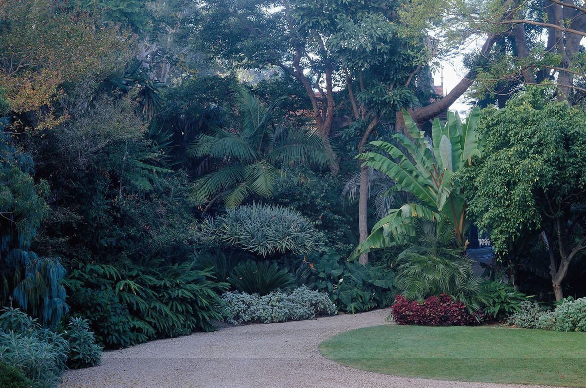 Bellevue Hill - 3