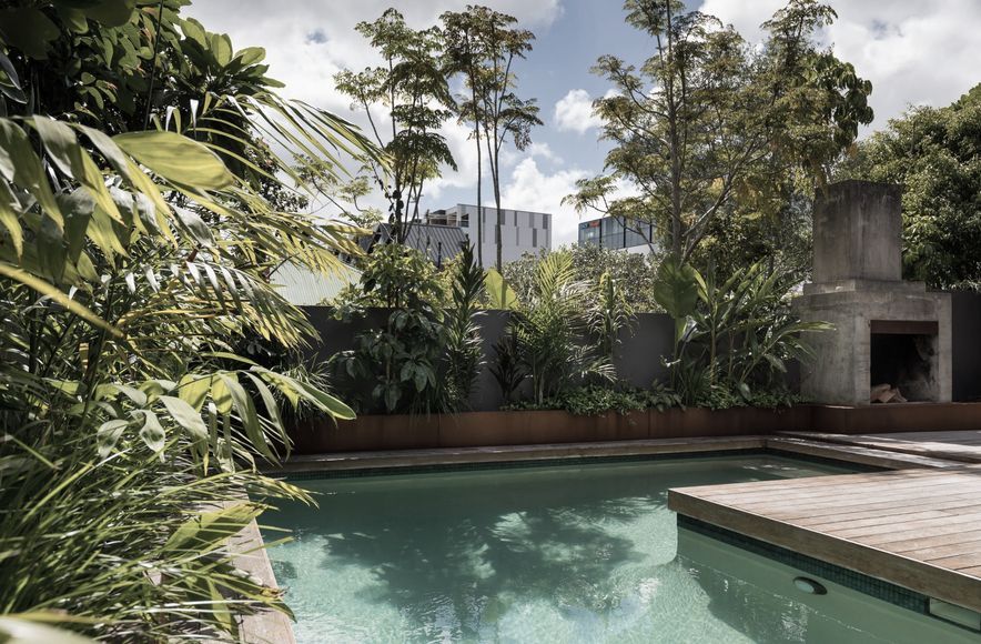 Grey Lynn Subtropical Residence