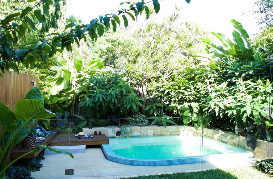 Plunge Garden