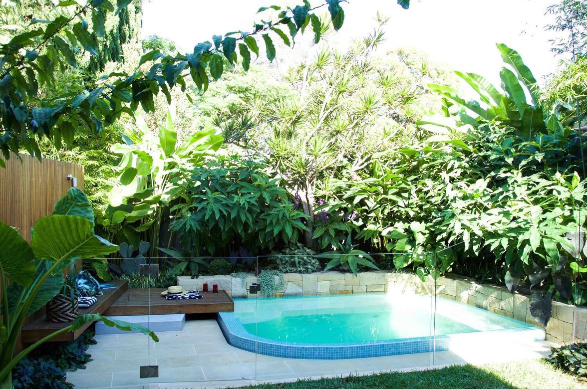 Plunge Garden