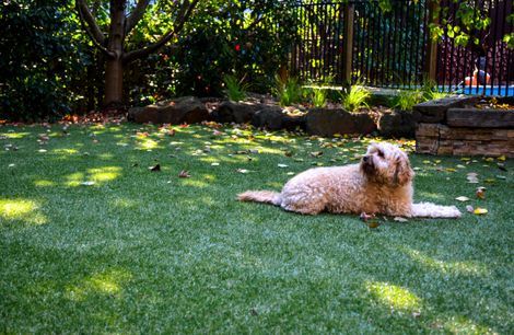 Private landscape project in Plenty
